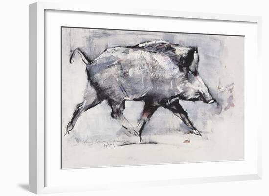 Young Boar, Bialowieza, Poland-Mark Adlington-Framed Giclee Print