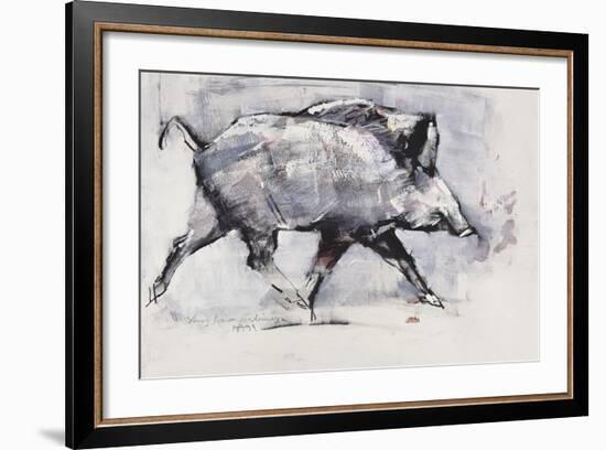 Young Boar, Bialowieza, Poland-Mark Adlington-Framed Giclee Print