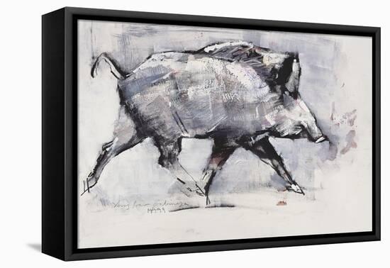 Young Boar, Bialowieza, Poland-Mark Adlington-Framed Premier Image Canvas