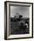 Young Boy and His Dog Watching the Circus Tents Being Set Up-Myron Davis-Framed Photographic Print