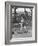 Young Boy Batting in Little League During Game-null-Framed Photographic Print