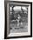 Young Boy Batting in Little League During Game-null-Framed Photographic Print