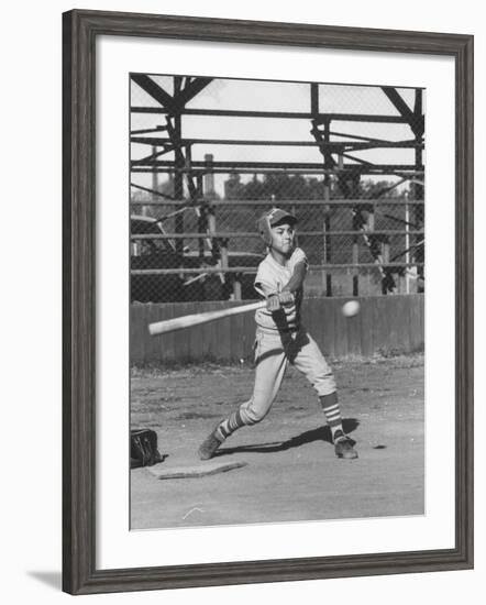 Young Boy Batting in Little League During Game-null-Framed Photographic Print