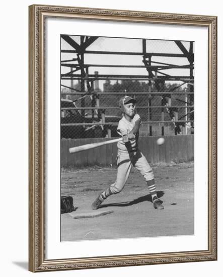 Young Boy Batting in Little League During Game-null-Framed Photographic Print