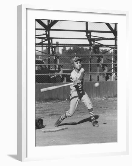 Young Boy Batting in Little League During Game-null-Framed Photographic Print