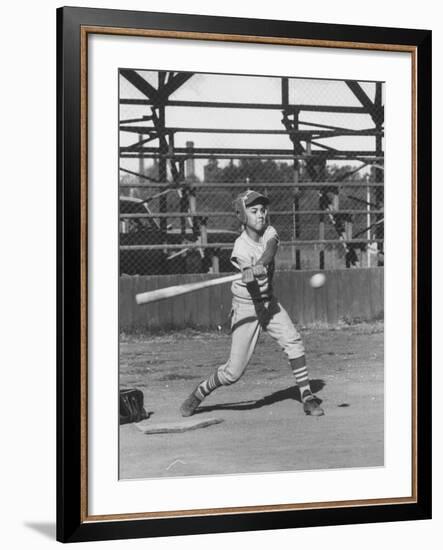 Young Boy Batting in Little League During Game-null-Framed Photographic Print