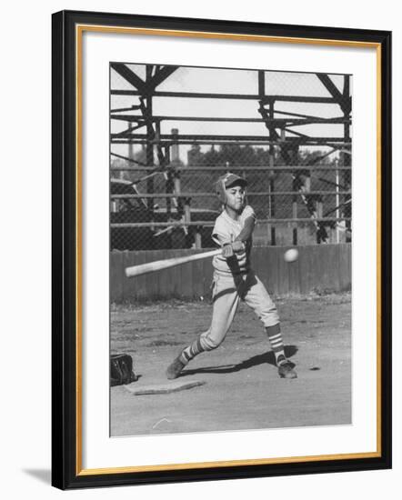 Young Boy Batting in Little League During Game-null-Framed Photographic Print