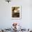 Young Boy Drumming on Old American Car's Bonnet,Trinidad, Sancti Spiritus Province, Cuba-Eitan Simanor-Framed Photographic Print displayed on a wall