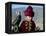 Young Boy Holding a Falcon, Golden Eagle Festival, Mongolia-Amos Nachoum-Framed Premier Image Canvas