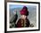 Young Boy Holding a Falcon, Golden Eagle Festival, Mongolia-Amos Nachoum-Framed Photographic Print