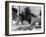 Young boy looking in shop window in the Cotswolds, 1935-Bernard Alfieri-Framed Photographic Print