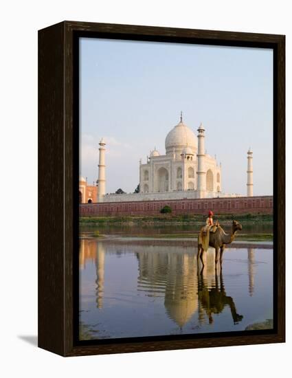 Young Boy on Camel, Taj Mahal Temple Burial Site at Sunset, Agra, India-Bill Bachmann-Framed Premier Image Canvas