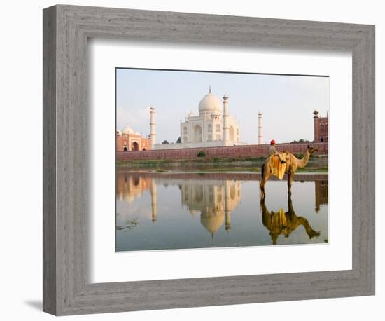 Young Boy on Camel, Taj Mahal Temple Burial Site at Sunset, Agra, India-Bill Bachmann-Framed Photographic Print