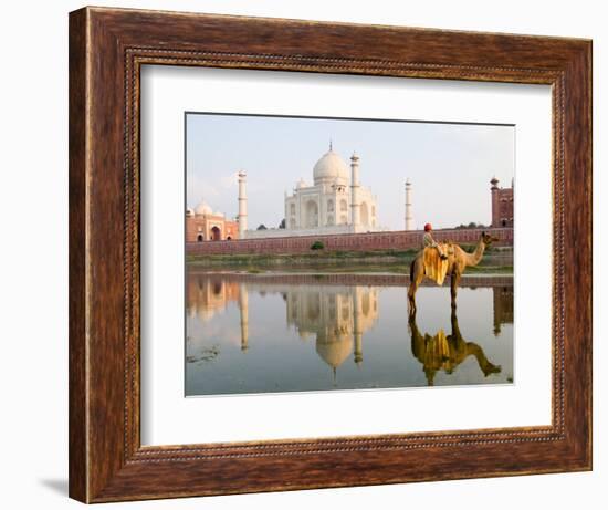 Young Boy on Camel, Taj Mahal Temple Burial Site at Sunset, Agra, India-Bill Bachmann-Framed Photographic Print