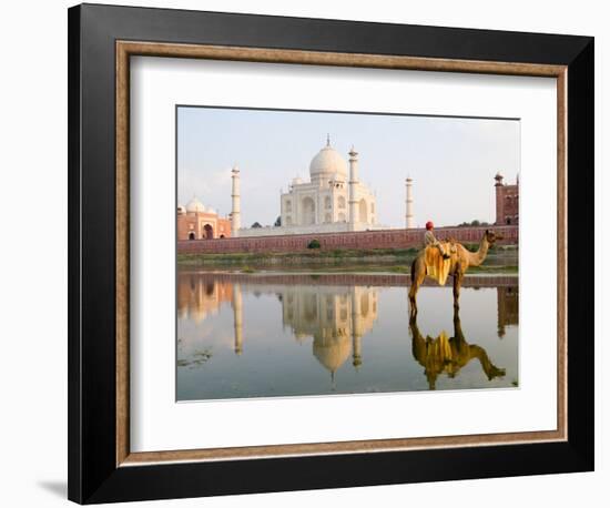 Young Boy on Camel, Taj Mahal Temple Burial Site at Sunset, Agra, India-Bill Bachmann-Framed Photographic Print