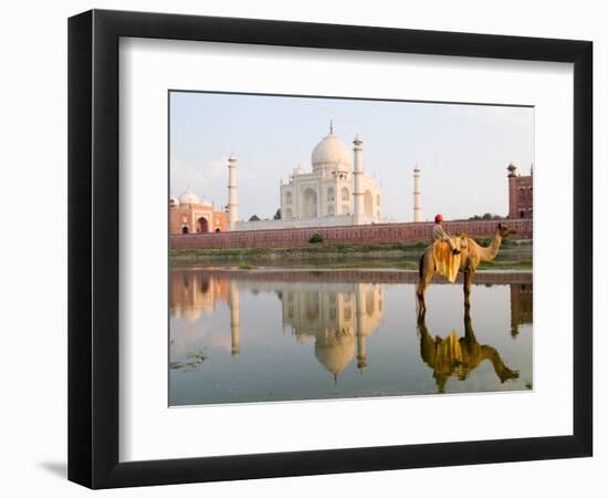 Young Boy on Camel, Taj Mahal Temple Burial Site at Sunset, Agra, India-Bill Bachmann-Framed Photographic Print