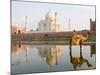 Young Boy on Camel, Taj Mahal Temple Burial Site at Sunset, Agra, India-Bill Bachmann-Mounted Photographic Print