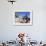 Young Boy on Ibo Island, Part of the Quirimbas Archipelago, Mozambique-Julian Love-Framed Photographic Print displayed on a wall