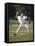 Young Boy Pitching During a Little League Baseball Games-null-Framed Premier Image Canvas