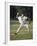 Young Boy Pitching During a Little League Baseball Games-null-Framed Photographic Print