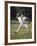 Young Boy Pitching During a Little League Baseball Games-null-Framed Photographic Print