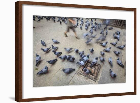 Young Boy Running Between Rock Pigeons (Columba Livia). Kathmandu. Nepal-Oscar Dominguez-Framed Photographic Print