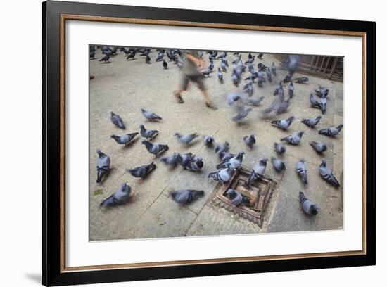 Young Boy Running Between Rock Pigeons (Columba Livia). Kathmandu. Nepal-Oscar Dominguez-Framed Photographic Print