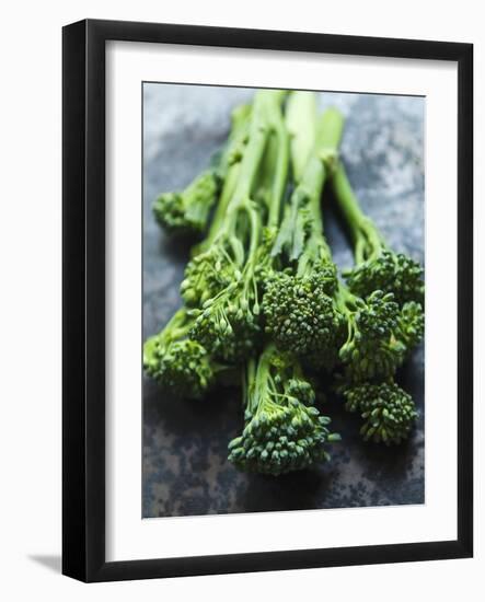 Young Broccoli-David Cleveland-Framed Photographic Print