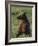 Young Brown bear sitting in meadow, Finland-Jussi Murtosaari-Framed Photographic Print