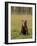 Young Brown bear sitting in meadow, Finland-Jussi Murtosaari-Framed Photographic Print