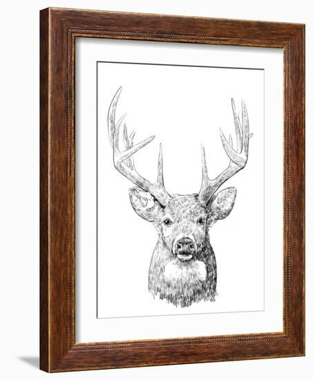 Young Buck Sketch II-Emma Scarvey-Framed Art Print