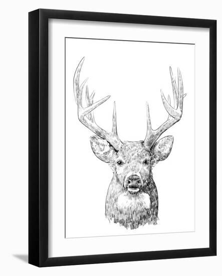 Young Buck Sketch II-Emma Scarvey-Framed Art Print