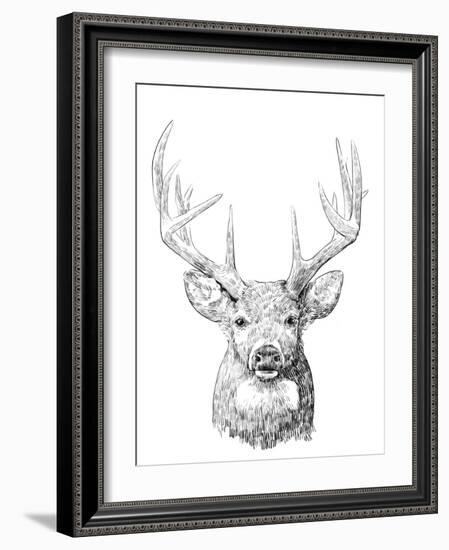 Young Buck Sketch II-Emma Scarvey-Framed Art Print