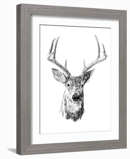 Young Buck Sketch III-Emma Scarvey-Framed Art Print