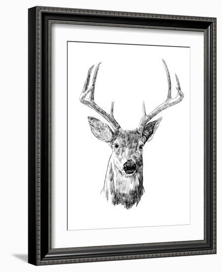 Young Buck Sketch III-Emma Scarvey-Framed Art Print