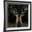 Young Buck-Liz Jardine-Framed Art Print