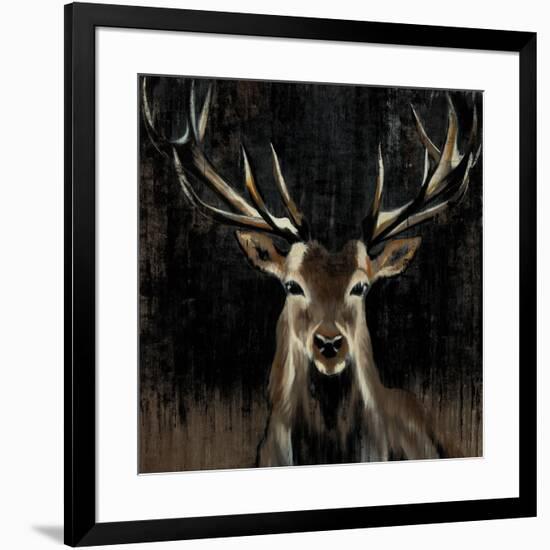 Young Buck-Liz Jardine-Framed Art Print