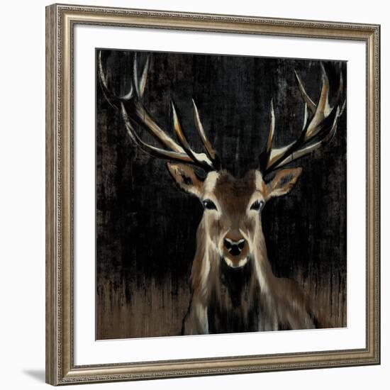 Young Buck-Liz Jardine-Framed Art Print