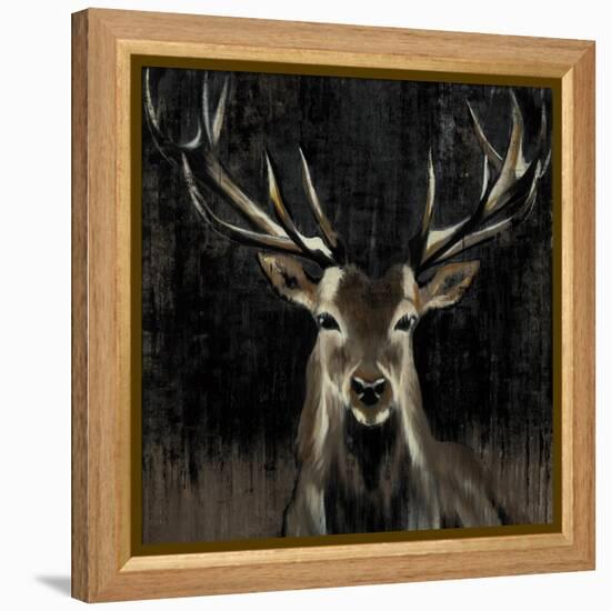 Young Buck-Liz Jardine-Framed Stretched Canvas