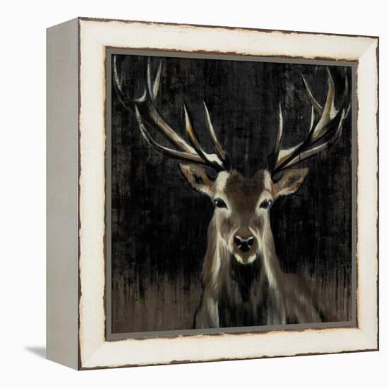 Young Buck-Liz Jardine-Framed Stretched Canvas