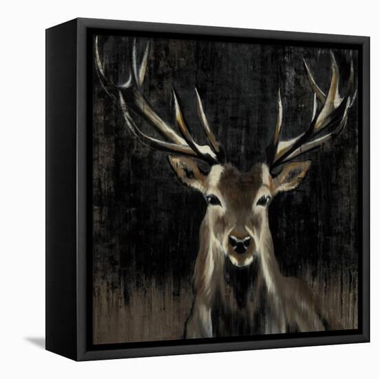 Young Buck-Liz Jardine-Framed Stretched Canvas