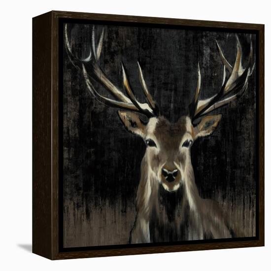 Young Buck-Liz Jardine-Framed Stretched Canvas