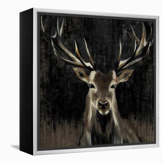 Young Buck-Liz Jardine-Framed Stretched Canvas