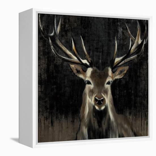 Young Buck-Liz Jardine-Framed Stretched Canvas