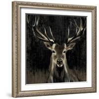 Young Buck-Liz Jardine-Framed Art Print