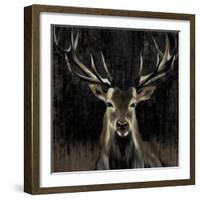 Young Buck-Liz Jardine-Framed Art Print