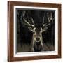 Young Buck-Liz Jardine-Framed Art Print