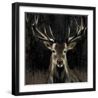 Young Buck-Liz Jardine-Framed Art Print