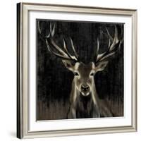 Young Buck-Liz Jardine-Framed Art Print