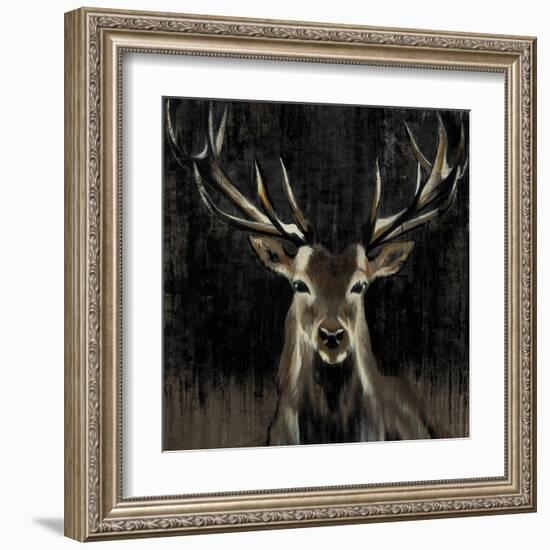 Young Buck-Liz Jardine-Framed Art Print